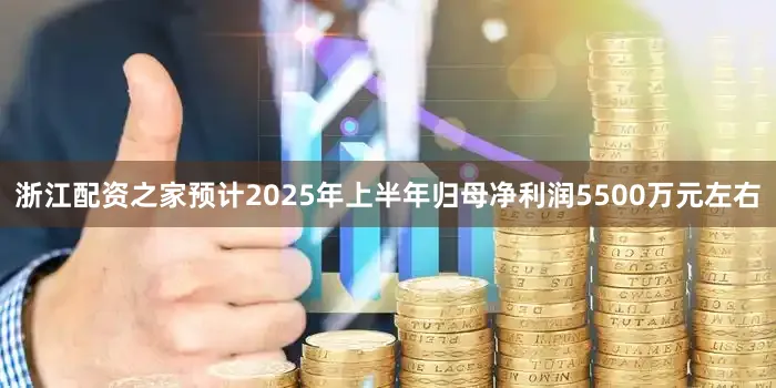 浙江配资之家预计2025年上半年归母净利润5500万元左右